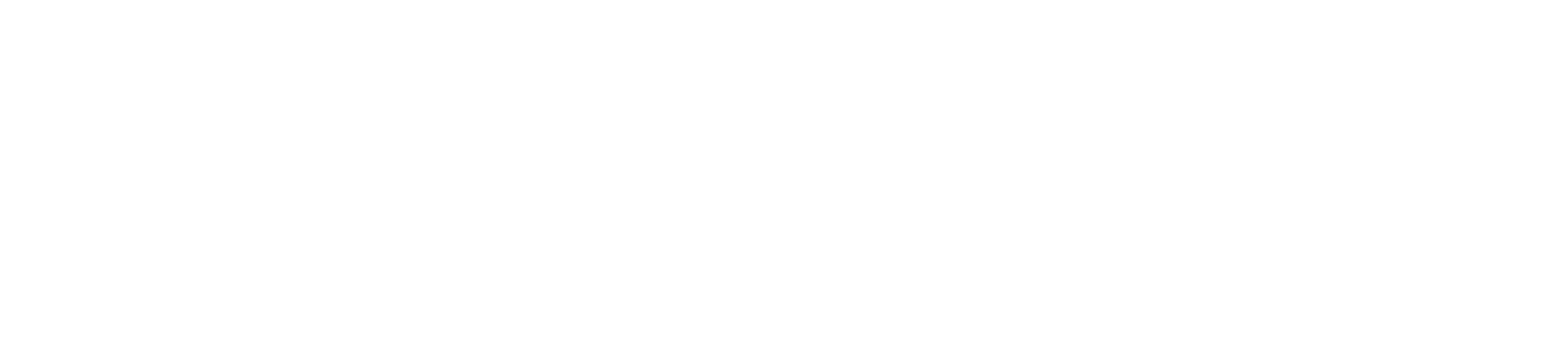 Logo Metropolitano